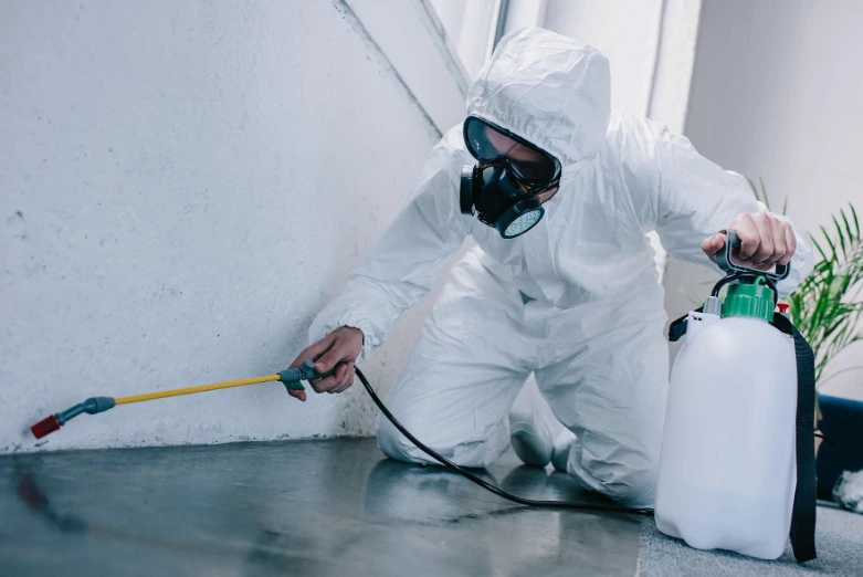 Pest Control Safe for children